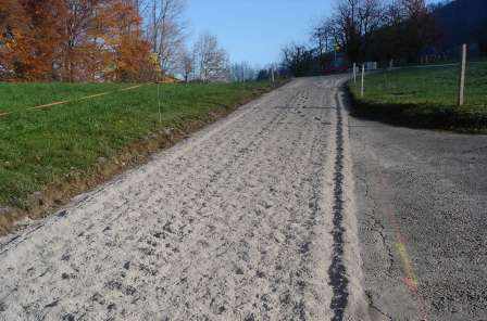 Sanierung Rigiweg, Greppen, Projektierung, Bauleitung