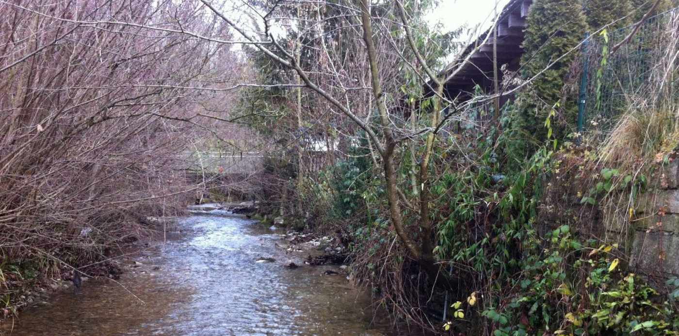 Ufersanierung Lattenbach Jona, Grundlagenbeschaffung, Feldaufnahmen, Vorprojekt, Hydraulische Überprüfung, Kostenvoranschlag, Baueingabe