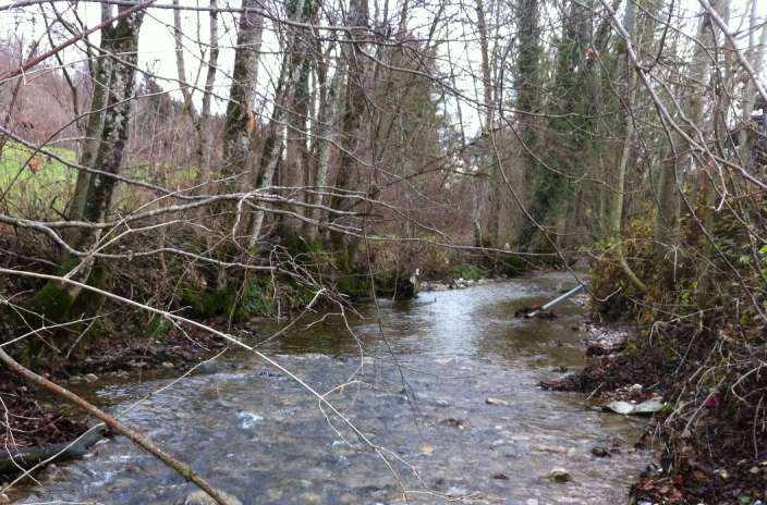 Ufersanierung Lattenbach Jona, Grundlagenbeschaffung, Feldaufnahmen, Vorprojekt, Hydraulische Überprüfung, Kostenvoranschlag, Baueingabe