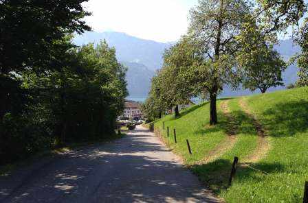 Basiserschliessung Gschwendstrasse, 
Gersau, Vorprojekt, Bauprojekt, Auflageprojekt / Bewilligungsverfahren