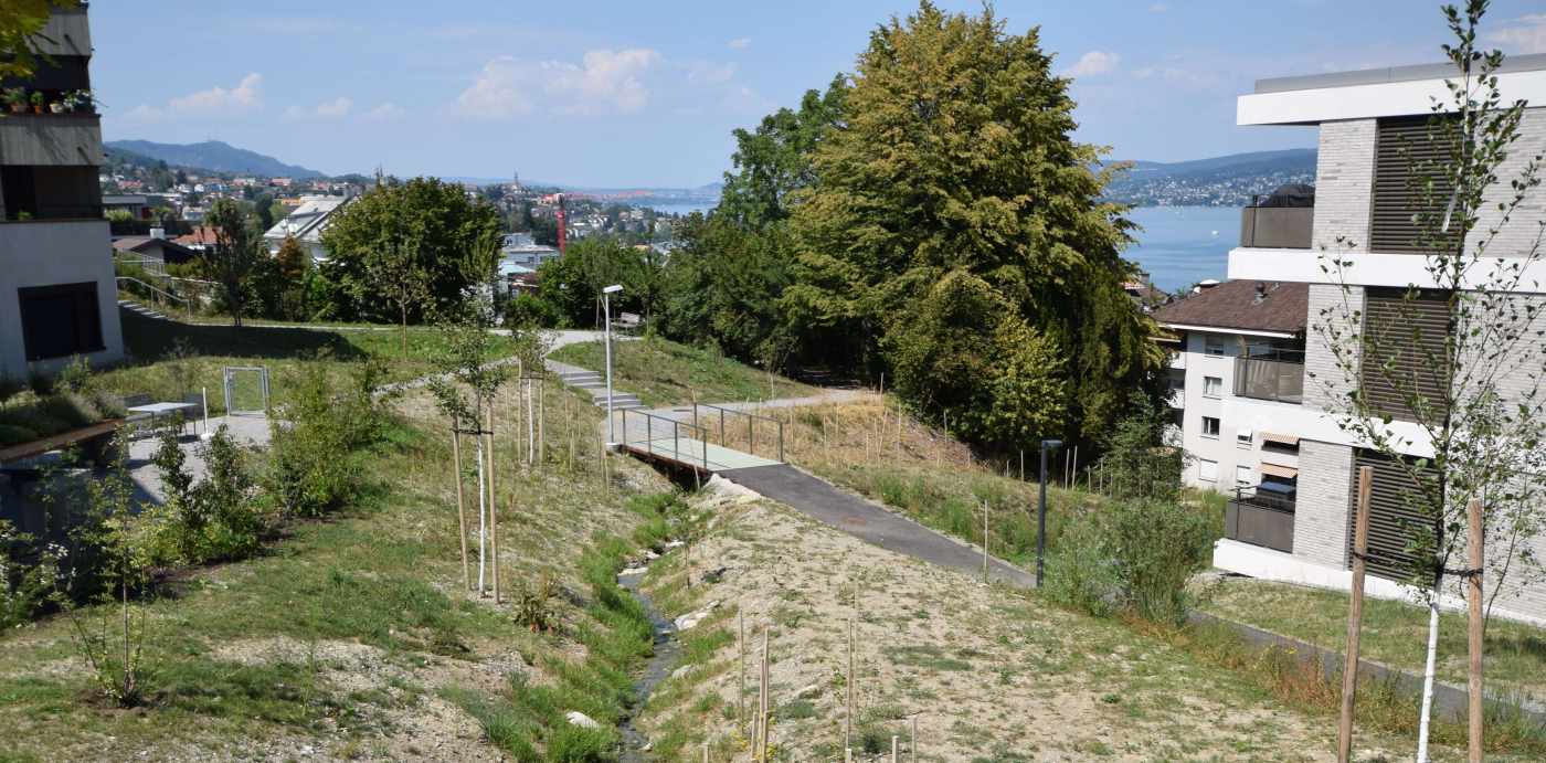 Rubschbach Abschnitt Einsiedlerstrasse bis Rütelerstrasse, Horgen, Grundlagenbeschaffung, Feldaufnahmen, Vorprojekt, Bauprojekt und Kostenvoranschlag, Devisierung, Ausschreibung und Offertvergleich, Ausführungsprojekt, Örtliche Bauleitung, Unterstützung Altlastensanierung, Ausmass und Abrechnung