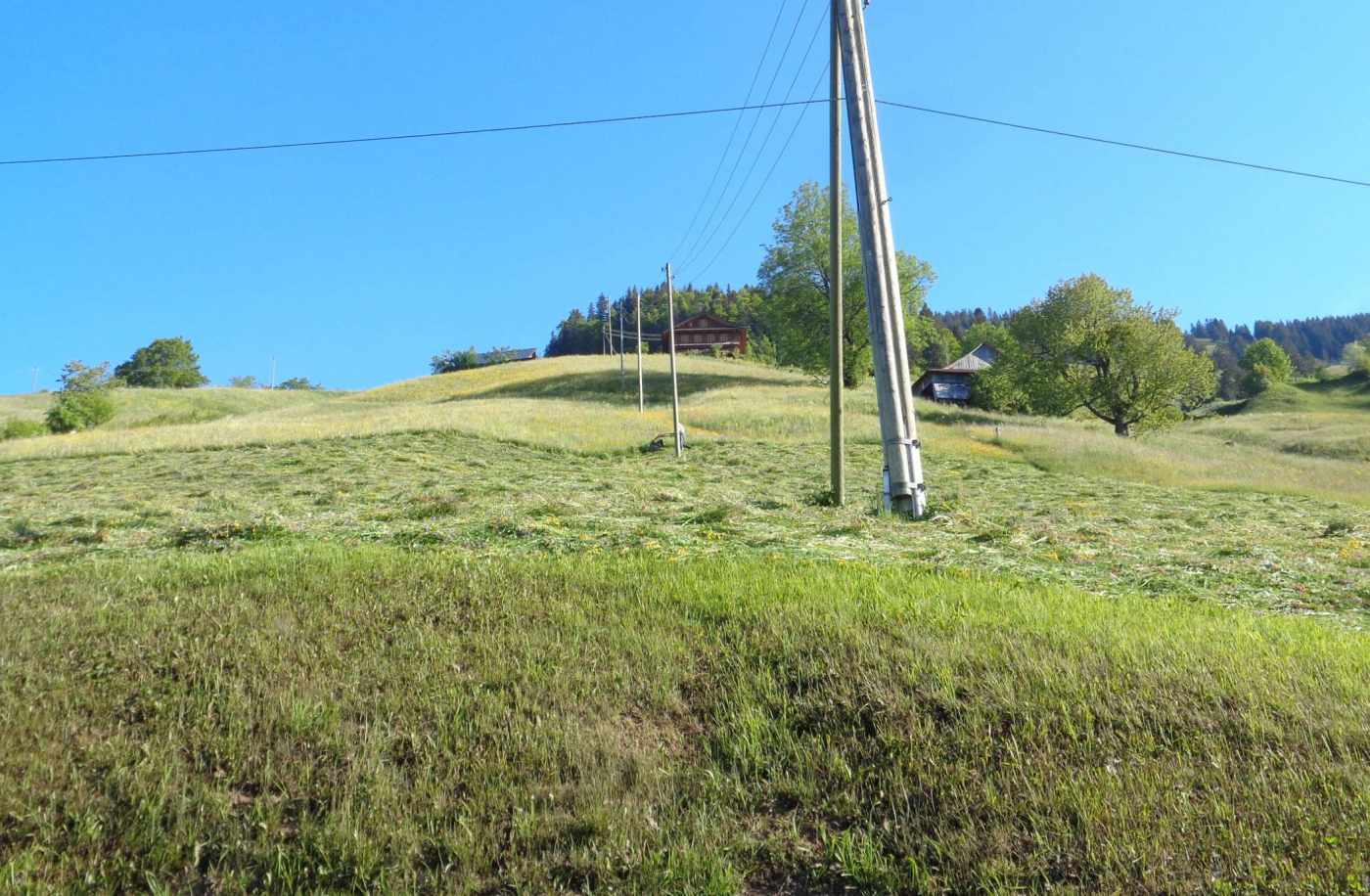 Entwässerungskonzept im ländlichen Raum Hinterbergen, Vitznau, Variantenstudium, Kostenschätzungen, Entwässerungskonzept im ländlichen Raum