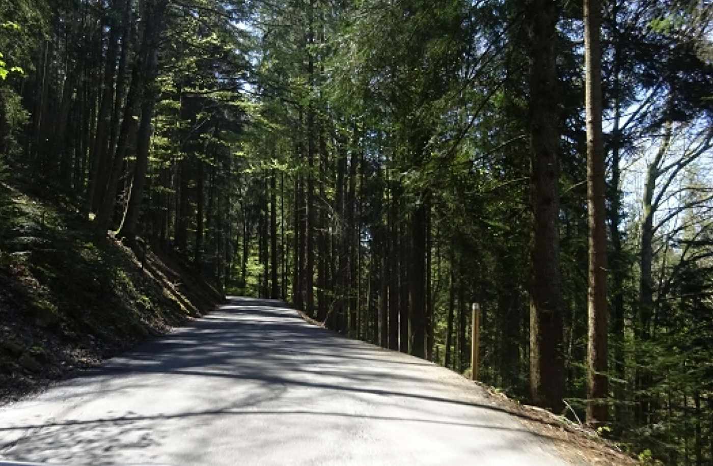 Instandsetzung Seebodenstrasse, Küssnacht, Grundlagenbeschaffung, Umgang mit Gewässerschutzzonen, Umgang mit dem Bundesinventar der Landschaften und Naturdenkmäler (BLN Gebiet), Entwässerungskonzept allgemein und in den Schutzzonen, Landerwerbspläne, Vorprojekt, Kostenschätzung,