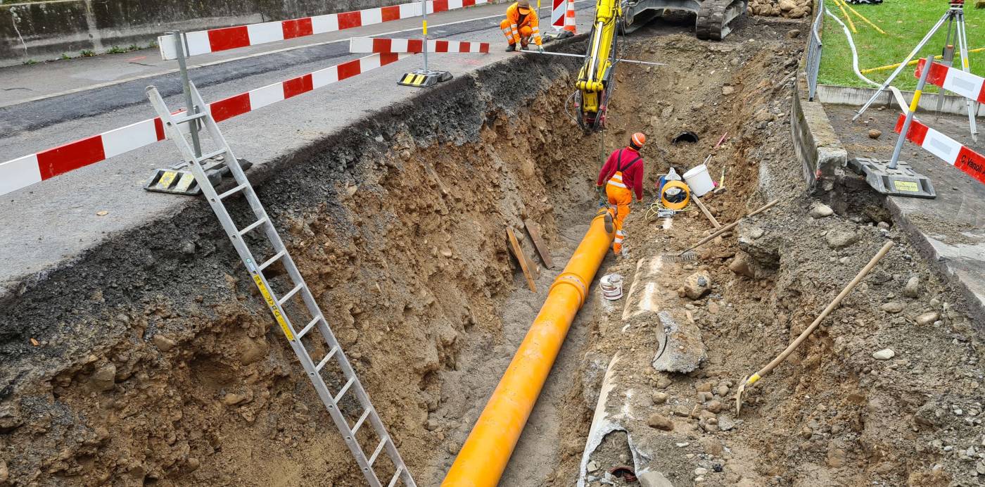 Trennsystem Schutzzone S2 Gesslerburg, Küssnacht, Grundlagenbeschaffung, Koordination Werke, Bauprojekt, Kostenvoranschlag, Submission, StatikStützbauwerk, Ausführungsprojekt, örtliche Bauleitung, Ausmass, Abrechnung,Kostenkontrolle, Inbetriebnahme