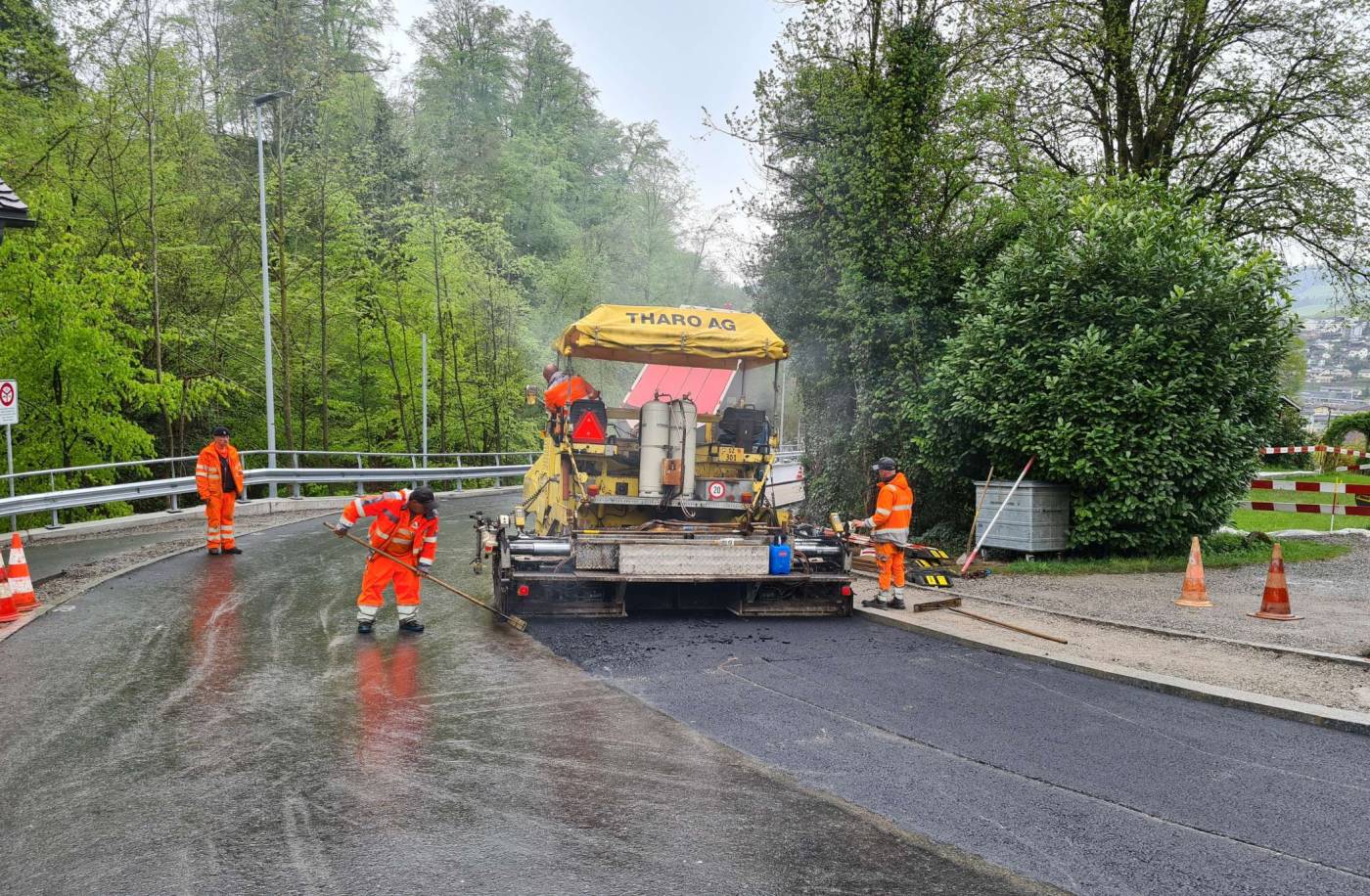 Trennsystem Schutzzone S2 Gesslerburg, Küssnacht, Grundlagenbeschaffung, Koordination Werke, Bauprojekt, Kostenvoranschlag, Submission, StatikStützbauwerk, Ausführungsprojekt, örtliche Bauleitung, Ausmass, Abrechnung,Kostenkontrolle, Inbetriebnahme