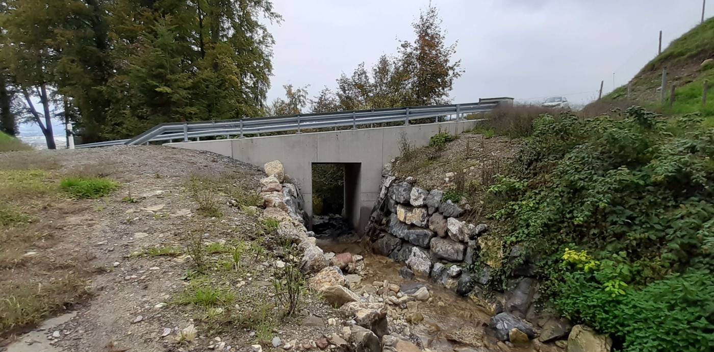 Durchlass Aarbach Vorderbergstrasse, Galgenen, Gesamtprojektleitung inklusiv statische Berechnungen des Durchlasses. Dies beinhaltet die Phasen 32 (Bauprojekt) bis und mit 53 (Inbetriebnahme).