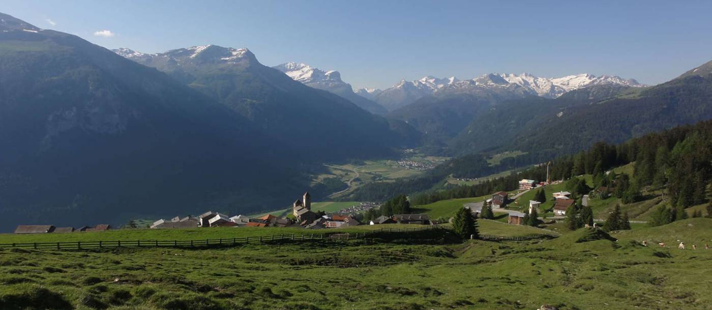 Gesamtmelioration Berggebiet Lohn/Mathon, Projektleitung & Oberbauleitung der Gesamtmelioration, Verhandlungen zwischen den Beteiligten, Ausführung der technischen Arbeiten, Koordination und Umsetzung der ökologischen Ersatzmassnahmen