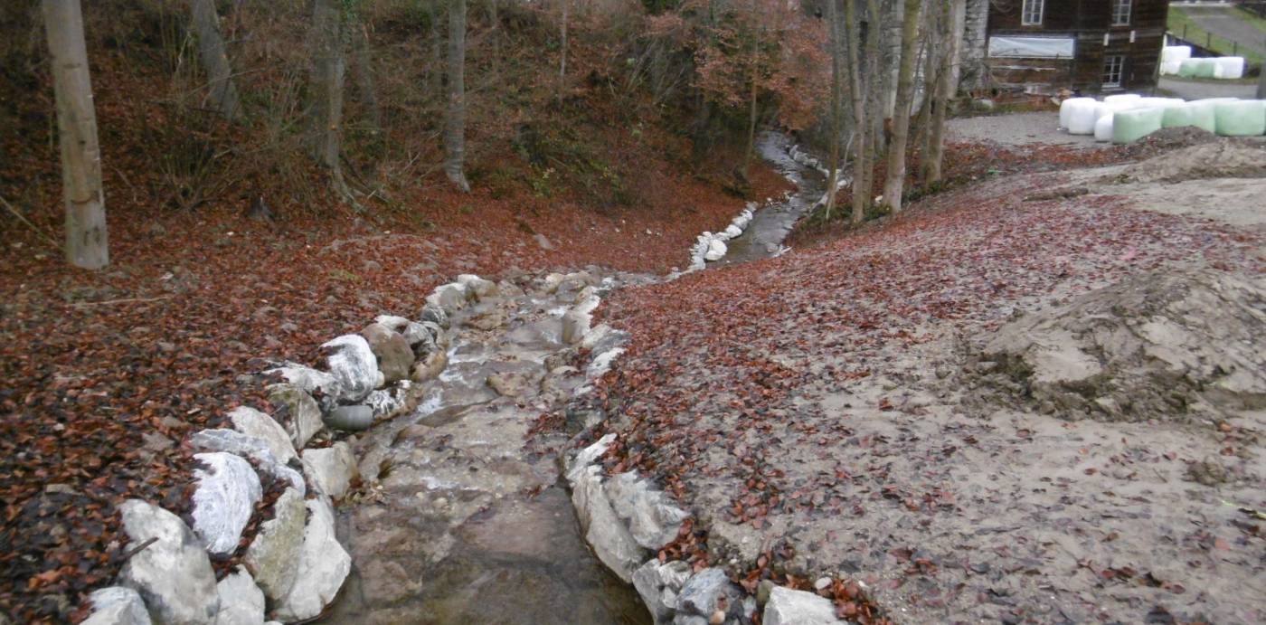 Ersatz Bachleitung Mühlebach in Nottwil, Vorprojekt, Bauprojekt, Ausführungsprojekt, Bauleitung, Abrechnung, Abschlussdokumentation