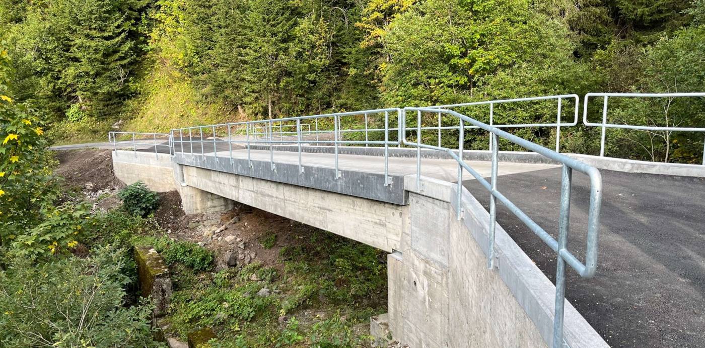 Sanierung Isentobelbrücke, Schwyz, Zustandsuntersuchung, Bauprojekt, Statik, Submission, Ausführungsprojekt Bauleitung, Öffentlichkeitsarbeit