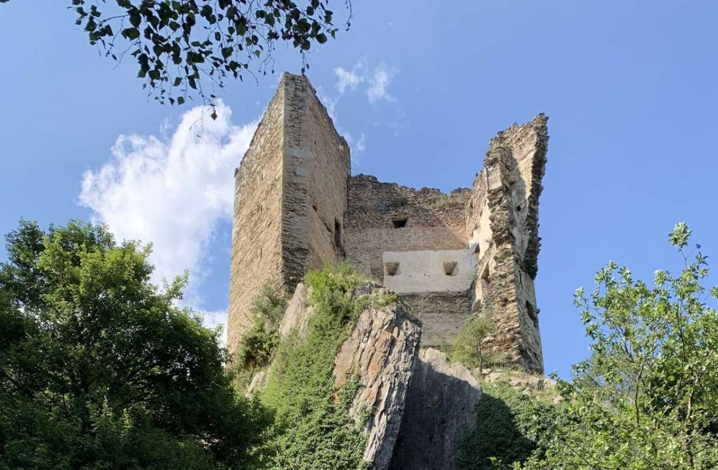 Konservierung Burgruine Haldenstein, Projektierung, Ausschreibung und Realisierung:, Konservierung und Erhaltung der bestehenden Struktur