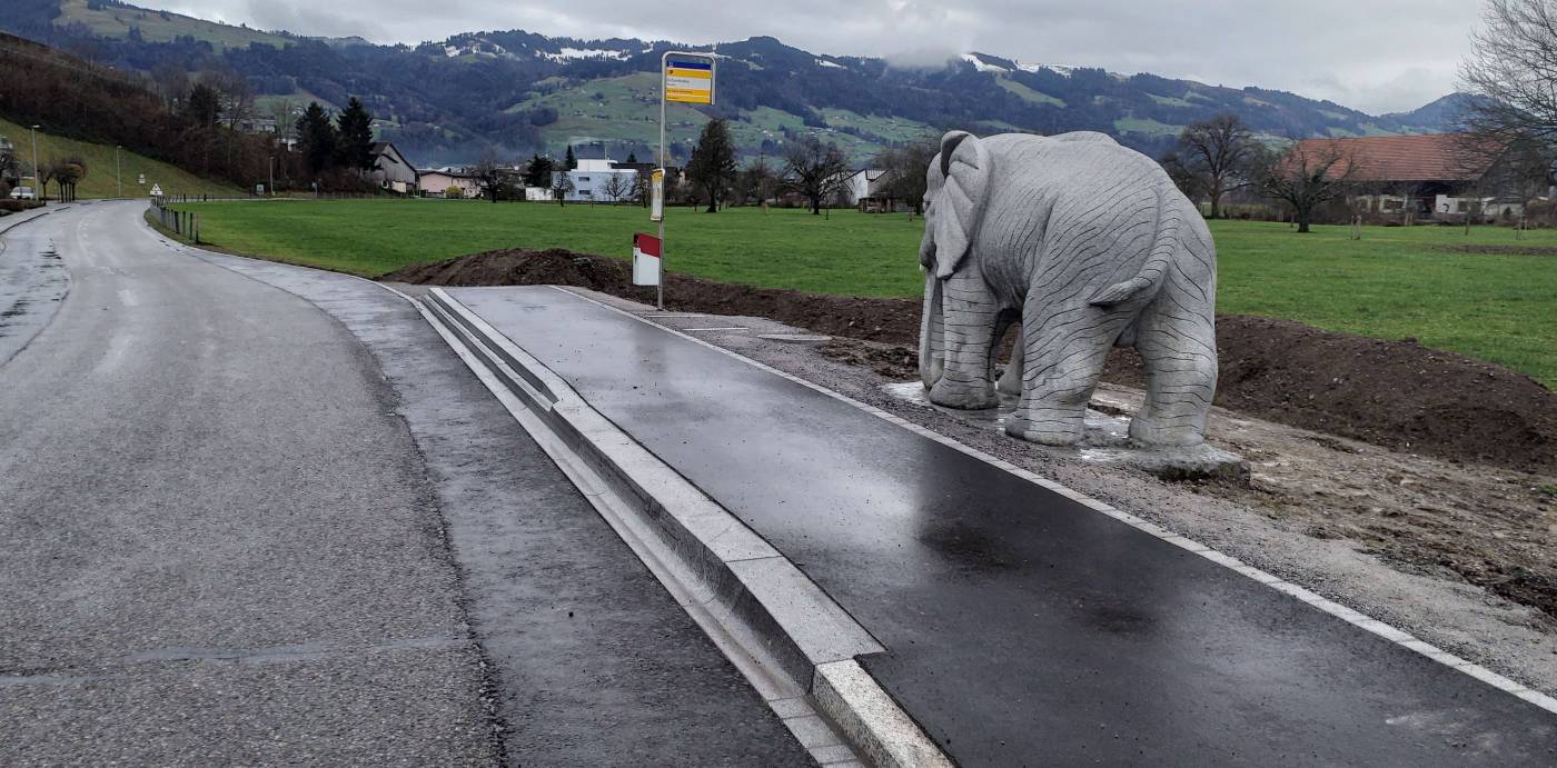 Bushaltestelle Ochsenboden Seestrasse, Nuolen, Variantenstudium, Vorprojekt, Bauprojekt, Projektauflage, Submissionsverfahren, Ausführungsprojekt, örtliche Bauleitung, Ausmass- und Kostenkontrolle, Inbetriebnahme