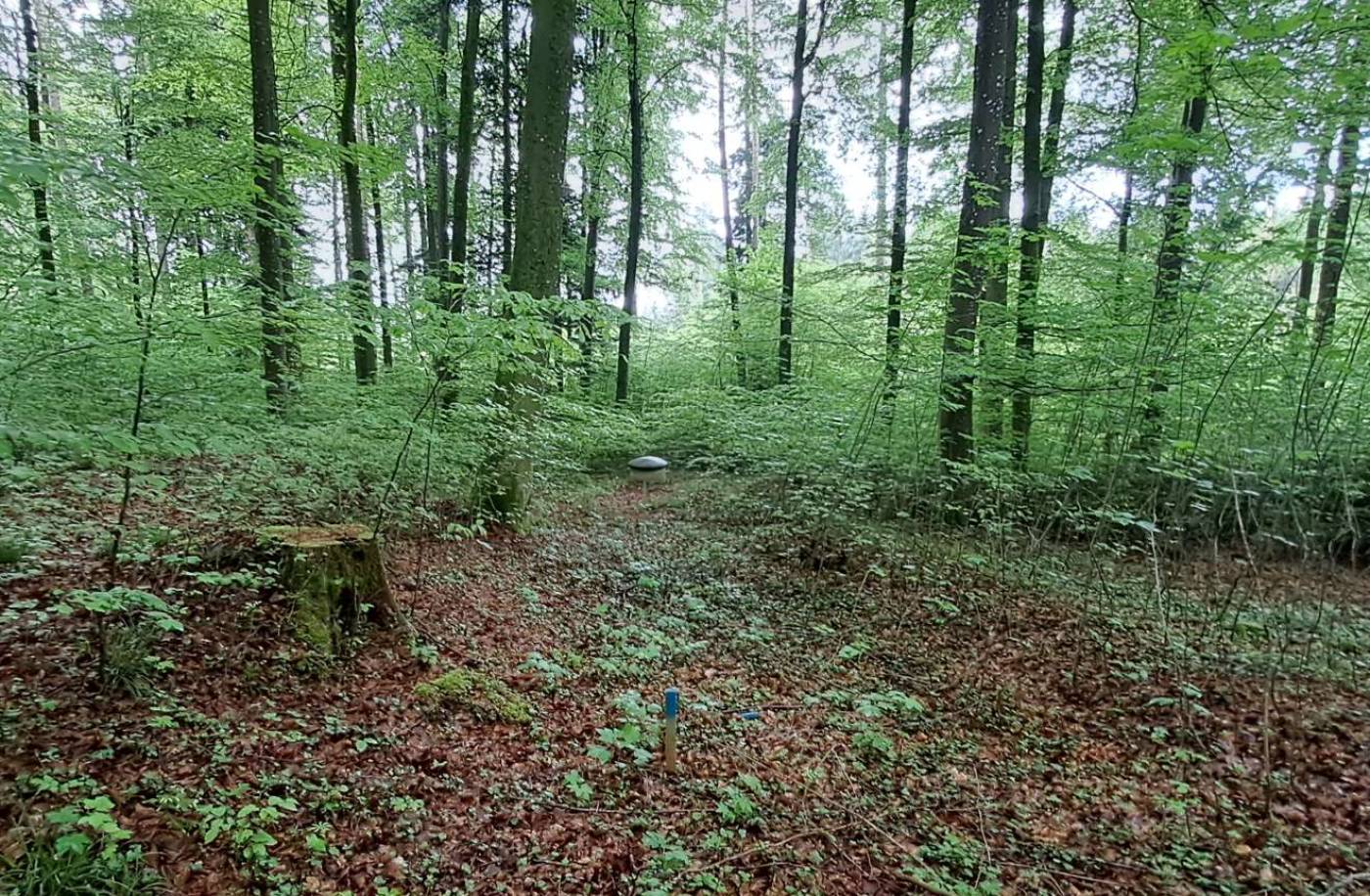 Neuausscheidung der Quellschutzzonen Neftenbach, Etappe 1, Erhebung GrundwasserqualitätErhebung GrundwasserschüttungErstellung Hydrogeologisches Gutachten