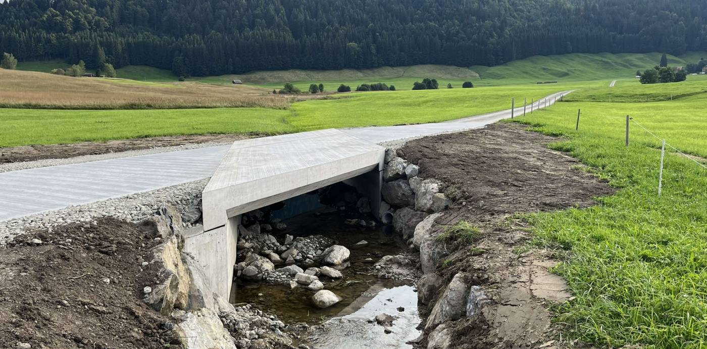 Ersatz Brücke und Hofzufahrt Nüschür; Einsiedeln, Variantenstudium, Bauprojekt, Statik und Hydraulik, Ausführungsprojekt Strasse und Brücke, Bauleitung, Öffentlichkeitsarbeit